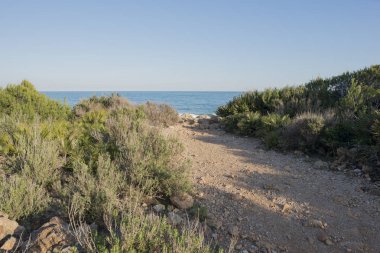 Sierra de IRTA içinde alcocebre, Castellon