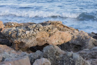 Sierra de IRTA içinde alcocebre, Castellon