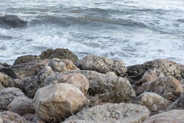 Sierra de IRTA içinde alcocebre, Castellon