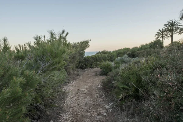 Sierra de irta v alcocebre, Castellon — Stock fotografie