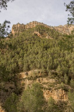 Castellon Ludiente etrafında peyzaj