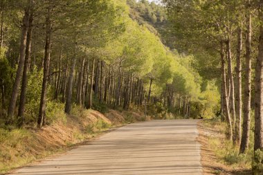 Castellon Argelita etrafında peyzaj