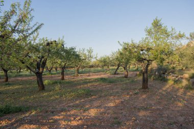 Köy, Vilafames tarafından Castellon içinde