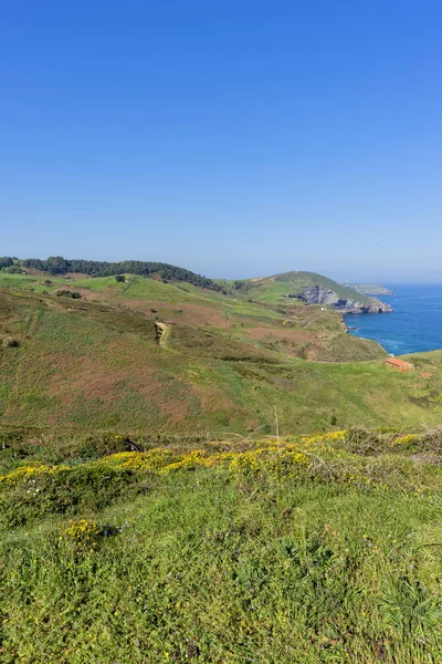 The coast of Cantabria — Stock Photo, Image