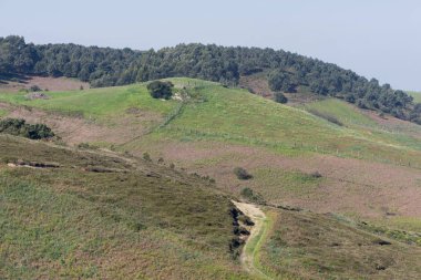 Quejo cape tarafından 