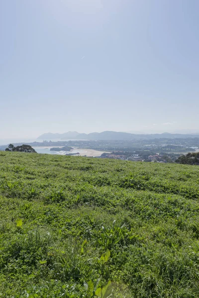 Am cape von quejo — Stockfoto