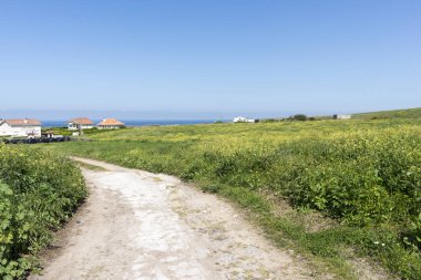 Ajo Belediyesi ile yürüyüş