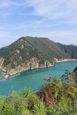 Pesues için pechon ihbar