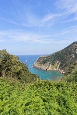 Pesues için pechon ihbar