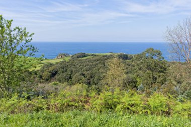 Pesues için pechon ihbar