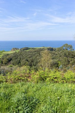 Pesues için pechon ihbar