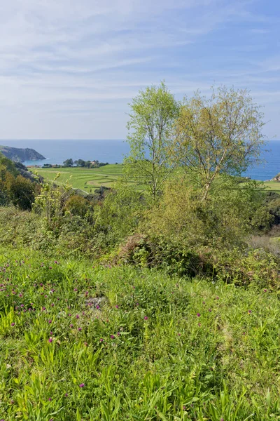 Pour la pointe de pechon à Pesues — Photo