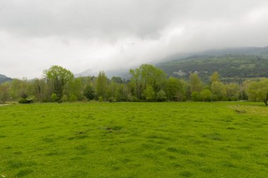Hermitage, San Juan de Ciliergo için