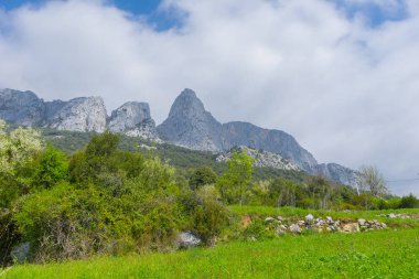 Asturias Allende