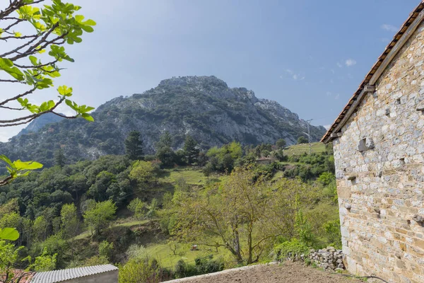 Allende in Asturië — Stockfoto