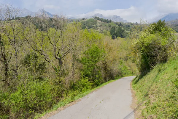 Wandern rund um Potes — Stockfoto