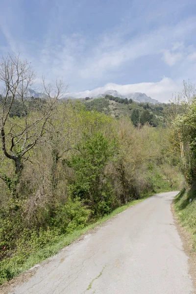 Wandelen rond Potes — Stockfoto