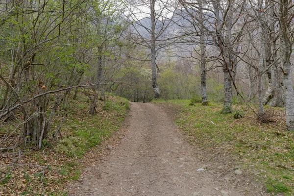 Promenade autour de Fuente de — Photo