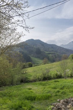 Şehir Cosgaya için