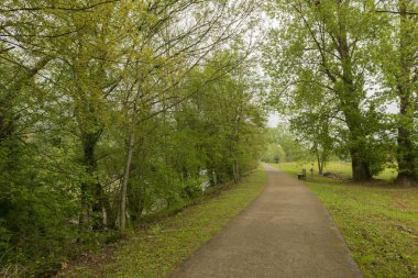 Asturias için bölmeleri