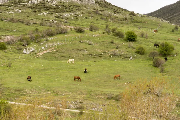 Από το χωριό της Argueso — Φωτογραφία Αρχείου