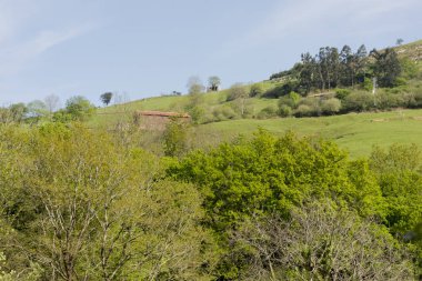 Cabarceno Köyü 