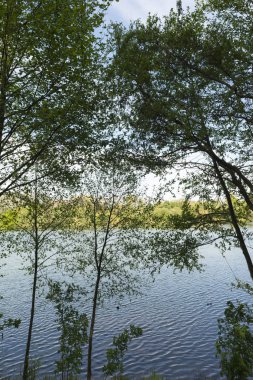 Cabarceno holly çukura