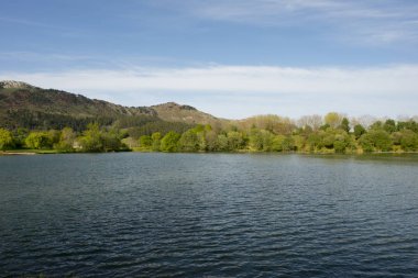 Cabarceno holly çukura