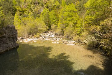 Torla ordesa'da yürüyüş