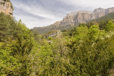 Torla ordesa'da yürüyüş