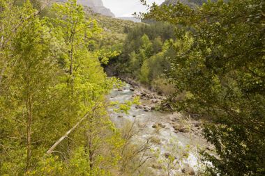 Torla ordesa'da yürüyüş