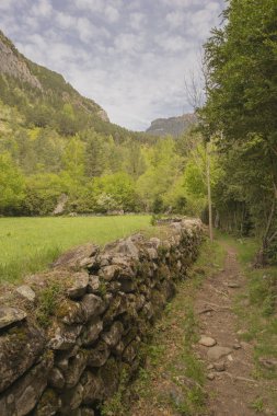 Torla ordesa'da yürüyüş