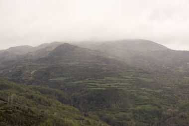 Bataklık bakış açısı