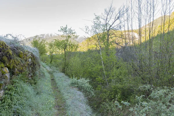 Manzara Torla ve Broto