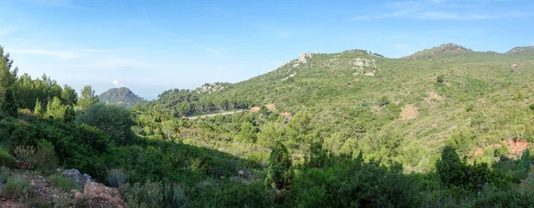 Genom öknen i palmer i Castellon — Stockfoto