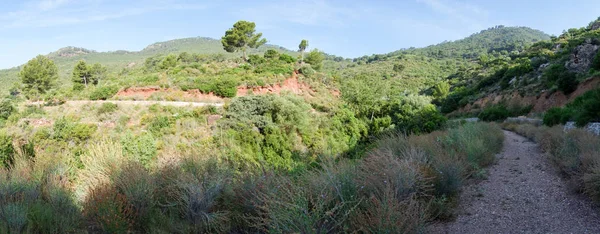 Genom öknen i palmer i Castellon — Stockfoto