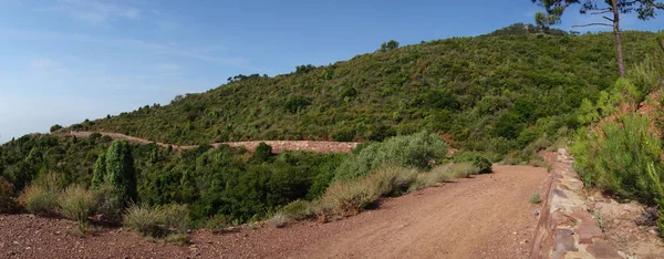 Durch die Wüste der Palmen in Castellon — Stockfoto