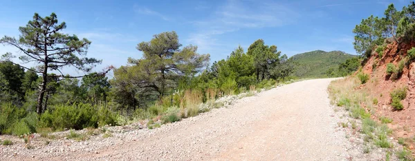 Attraverso il deserto delle palme a Castellon — Foto Stock