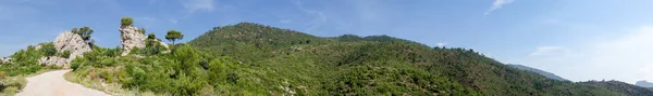 A travers le désert des palmiers à Castellon — Photo