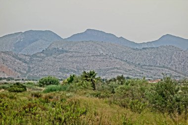 Alan marjaleria tarafından