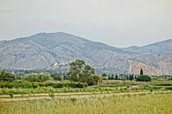 Das Feld bei der Marjaleria — Stockfoto