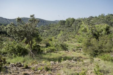 Pina köyü de Montalgrao çevresinde