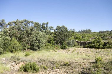 Pina köyü de Montalgrao çevresinde