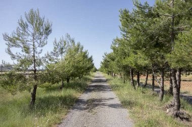 Barracas in Castellon