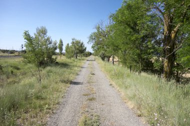 Barracas in Castellon