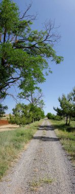 Barracas in Castellon