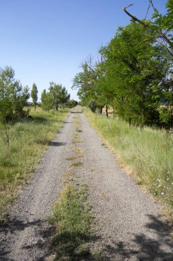 Barracas in Castellon