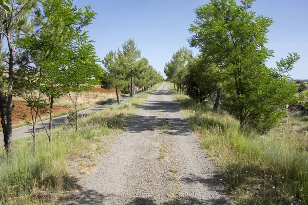 Barracas in Castellon