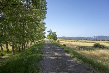 Barracas in Castellon