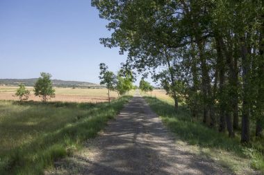 Barracas in Castellon